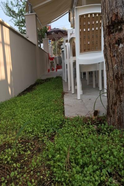 Vira Hotel Dalyan Exterior photo